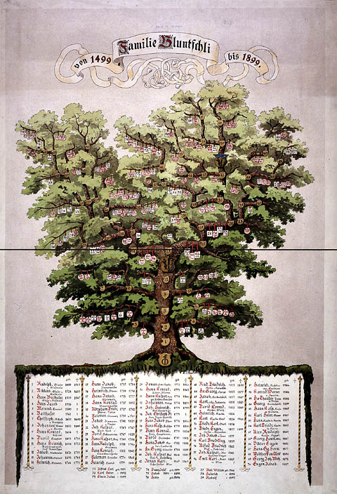Obrázek genealogie