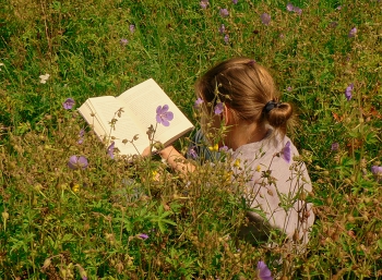 Dívka si čte na louce. Foto: Alena Šichtová.